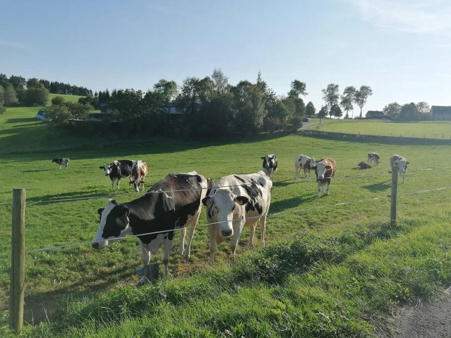 Eifelvilla Zur Kirsche - Wellness Und Apartment Burbach (Bitburg-Prum)